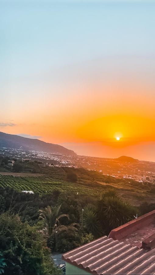 With Huge Deck Nestled In Marvelous Gardens - Nidos * La Orotava