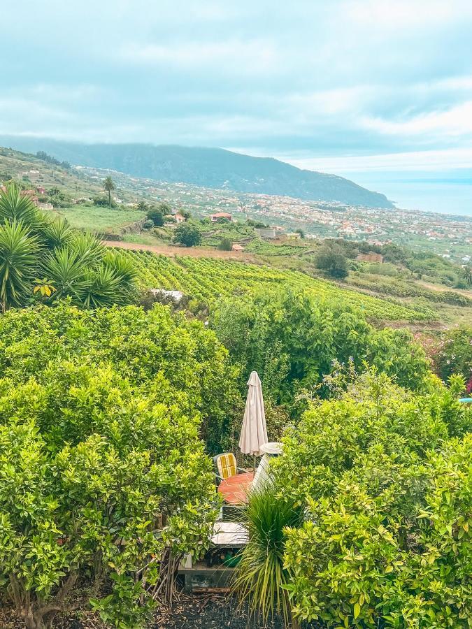 With Huge Deck Nestled In Marvelous Gardens - Nidos *