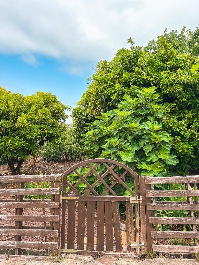 With Huge Deck Nestled In Marvelous Gardens - Nidos Apartment La Orotava