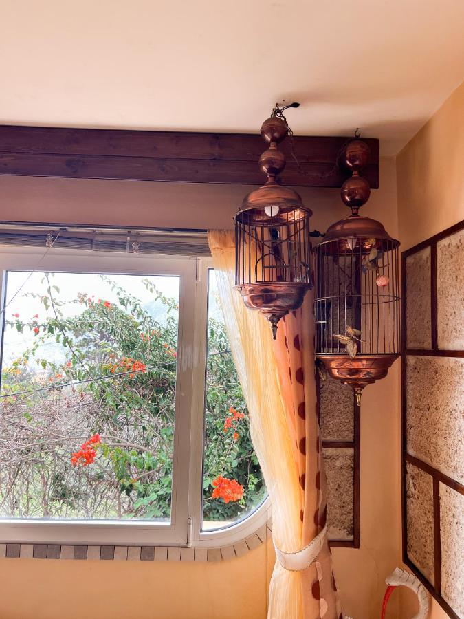 Apartment With Huge Deck Nestled In Marvelous Gardens - Nidos